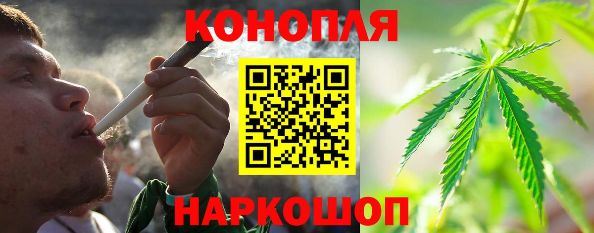Каннабис планчик Кисловодск